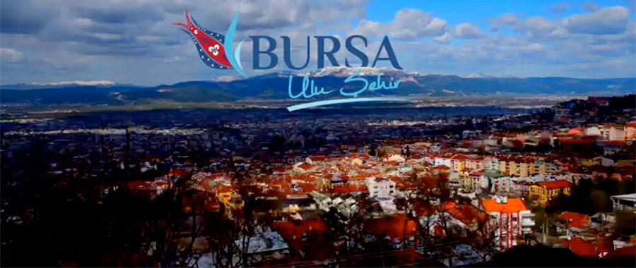 Bursa